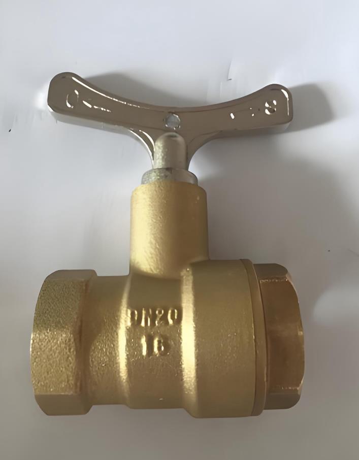 �S�~���i���yQ11F