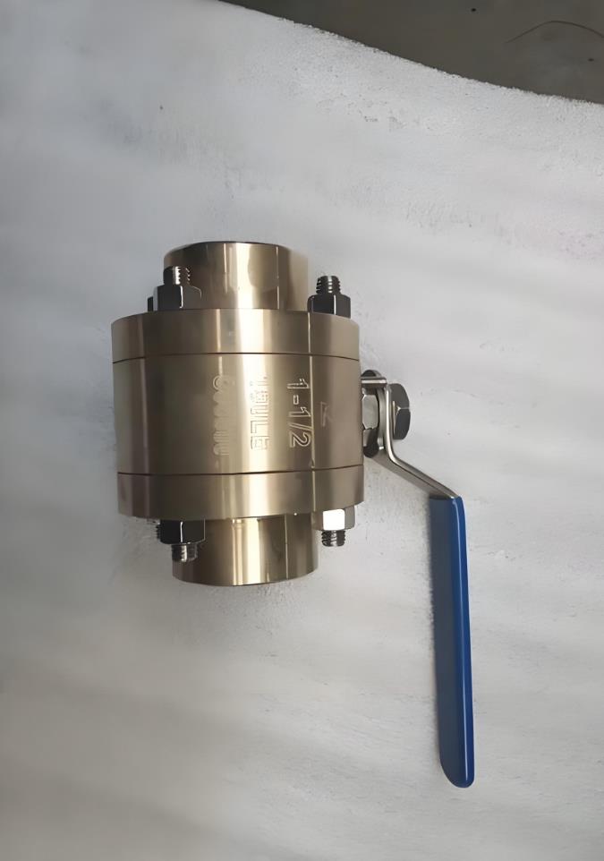 �������yQ61F/N/Y