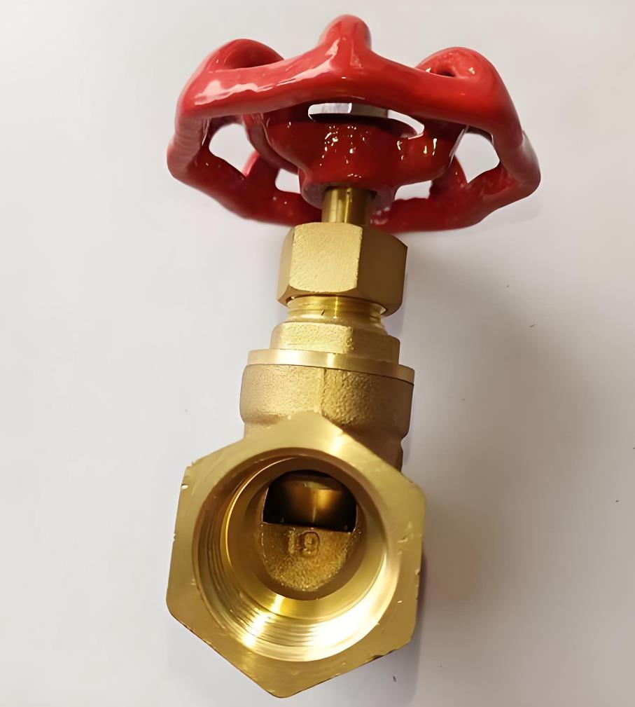 J11W�z���S�~��ֹ�y