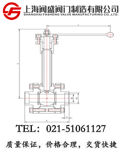 DQ61F-300LB�͜����y��BW��